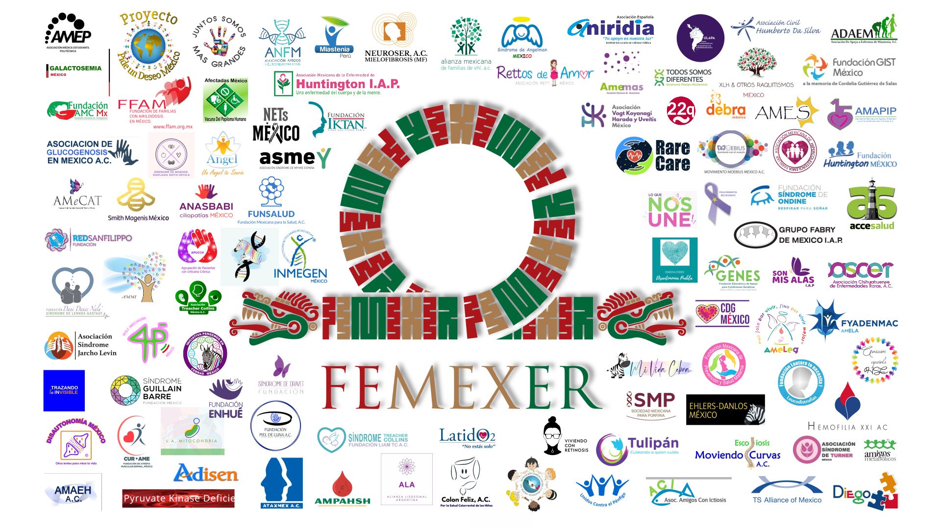 femexer_aliados-20240920_1920x1280